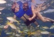 Paradise Island Tour